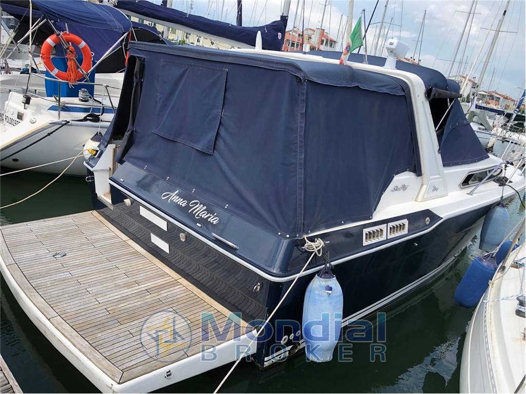 Sea ray 300 da usato