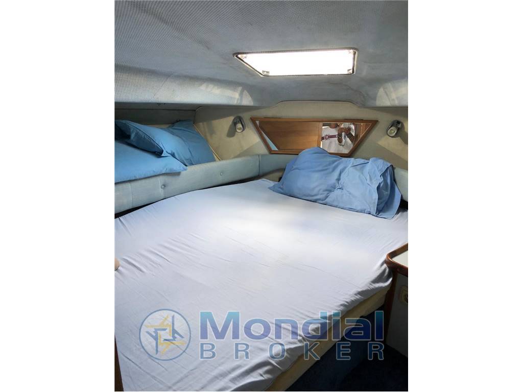 Sea ray 300 da usato