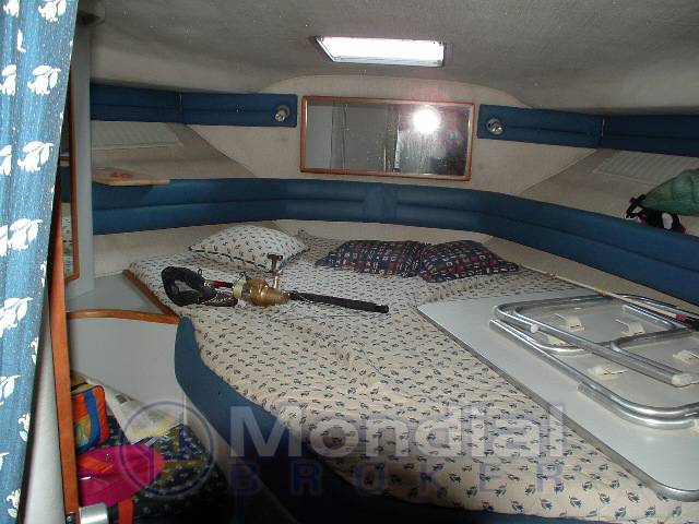 Sea ray 350 sundancer
