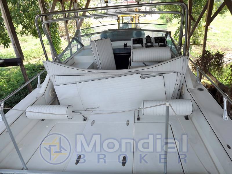 Fiart Thunder 28