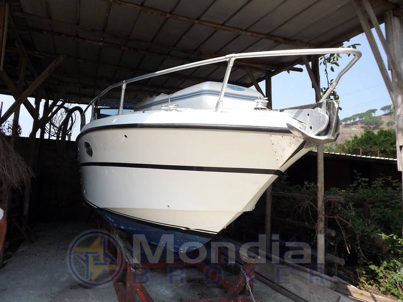 Fiart Thunder 28