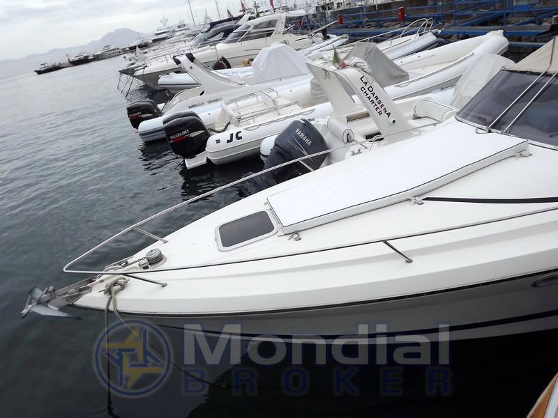 Cranchi Endurance 31
