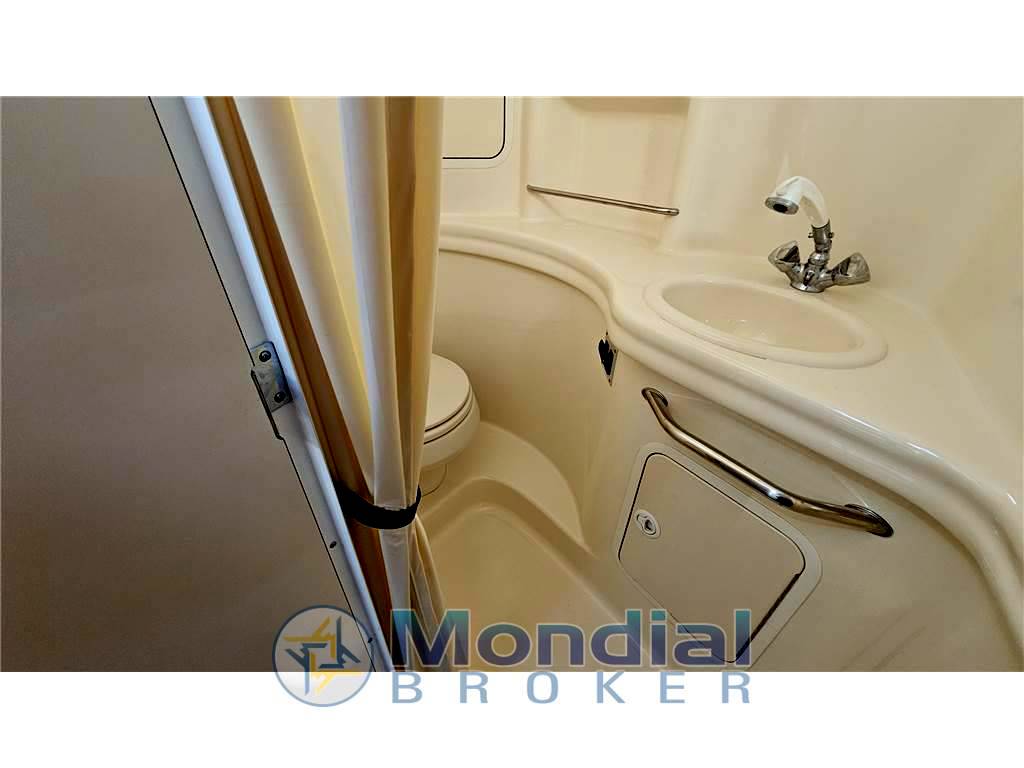 Sea ray 335 sundancer