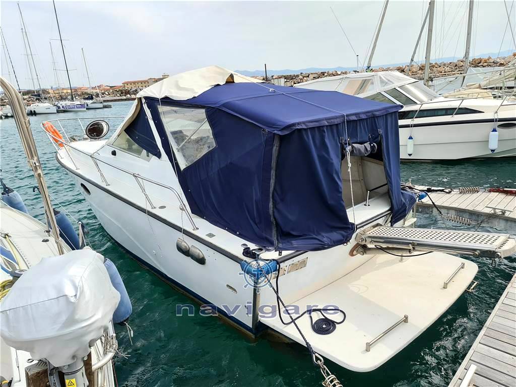 Fiart mare Aster 31