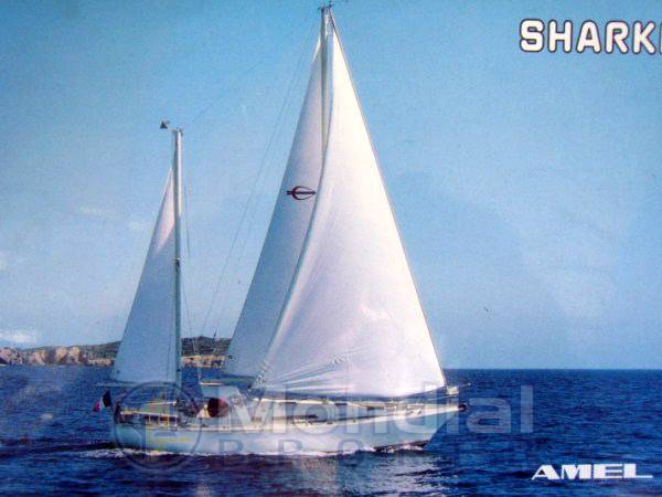 Amel Sharki