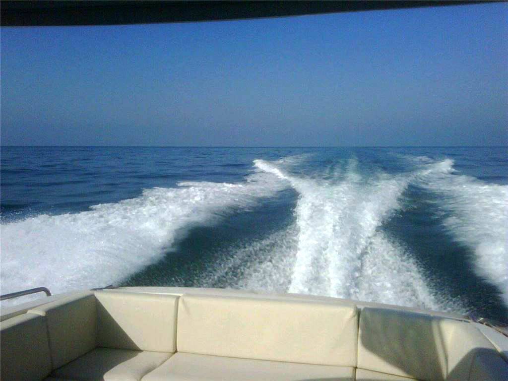 Gagliotta 35 lobster