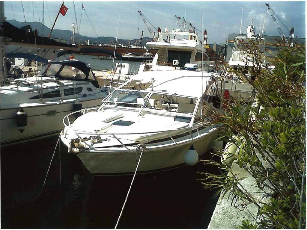 Bertram yacht Moppie 28
