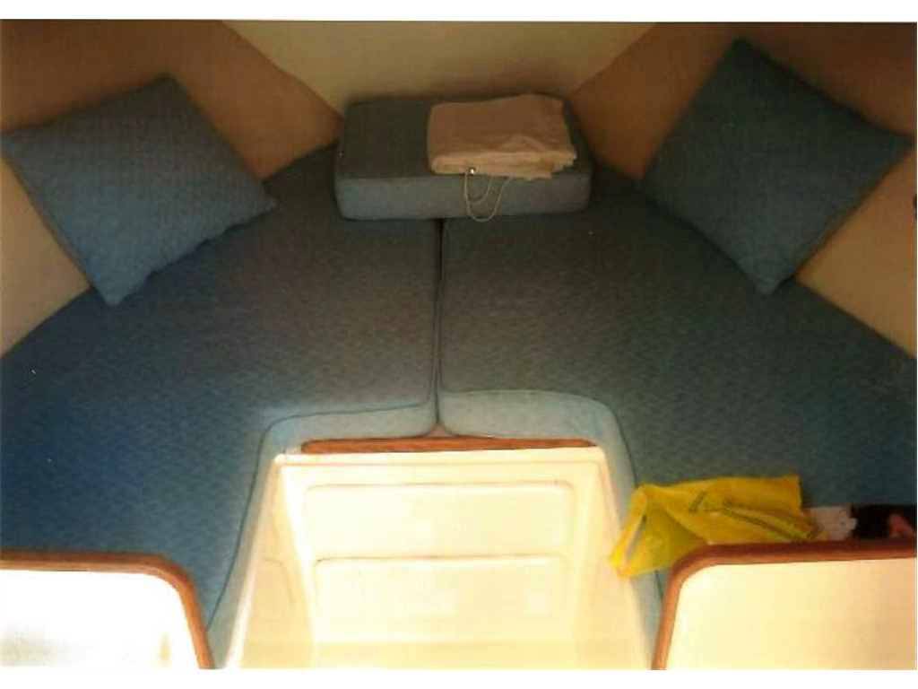 Bertram yacht Moppie 28