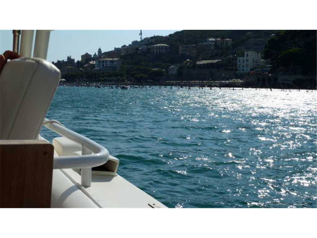 Bertram yacht Moppie 28