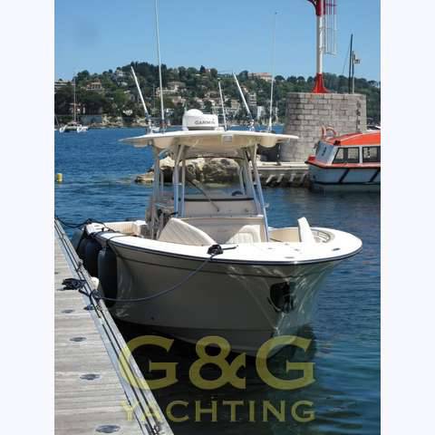 Grady white 306 bimini