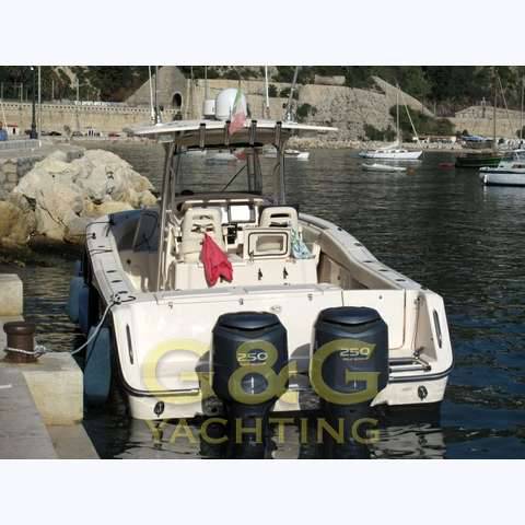 Grady white 306 bimini