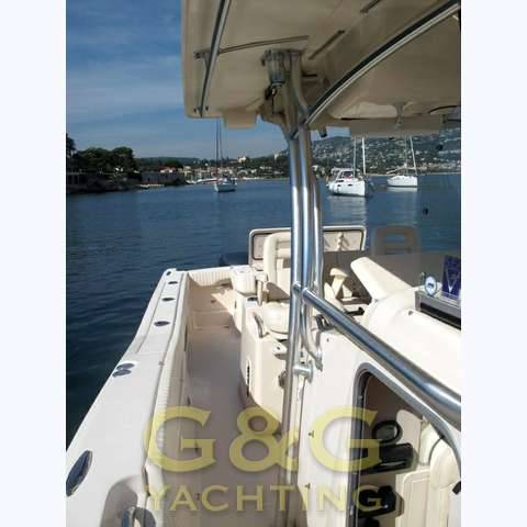 Grady white 306 bimini