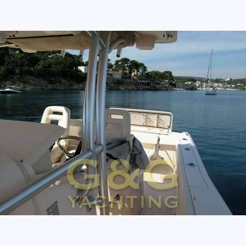 Grady white 306 bimini