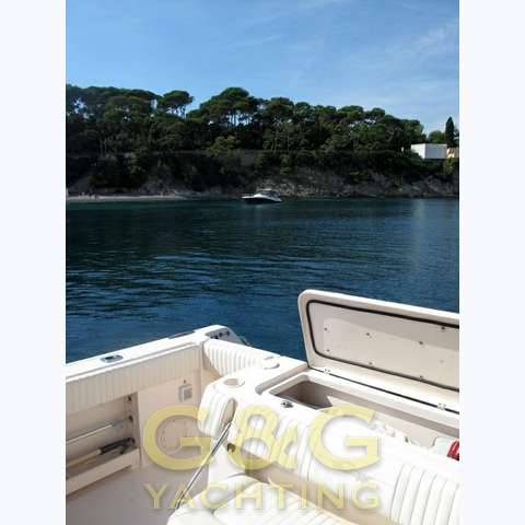Grady white 306 bimini