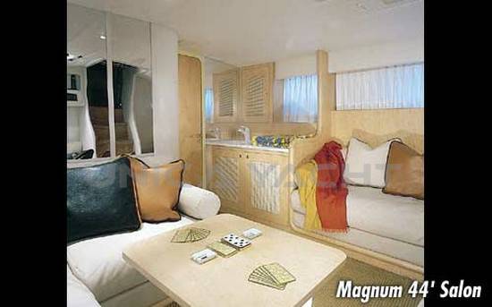 Magnum 44