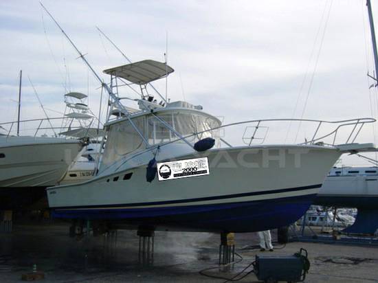 Luhrs 32 open
