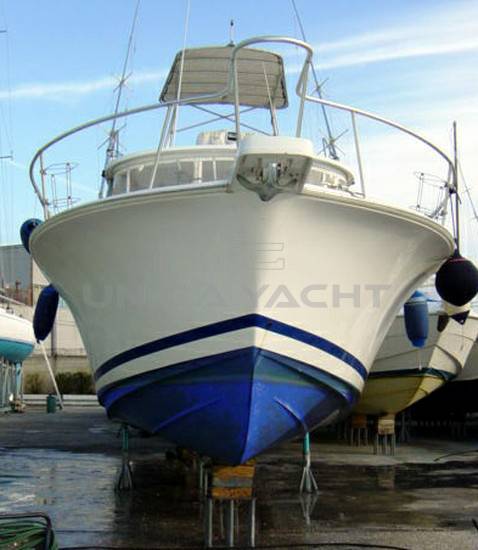 Luhrs 32 open