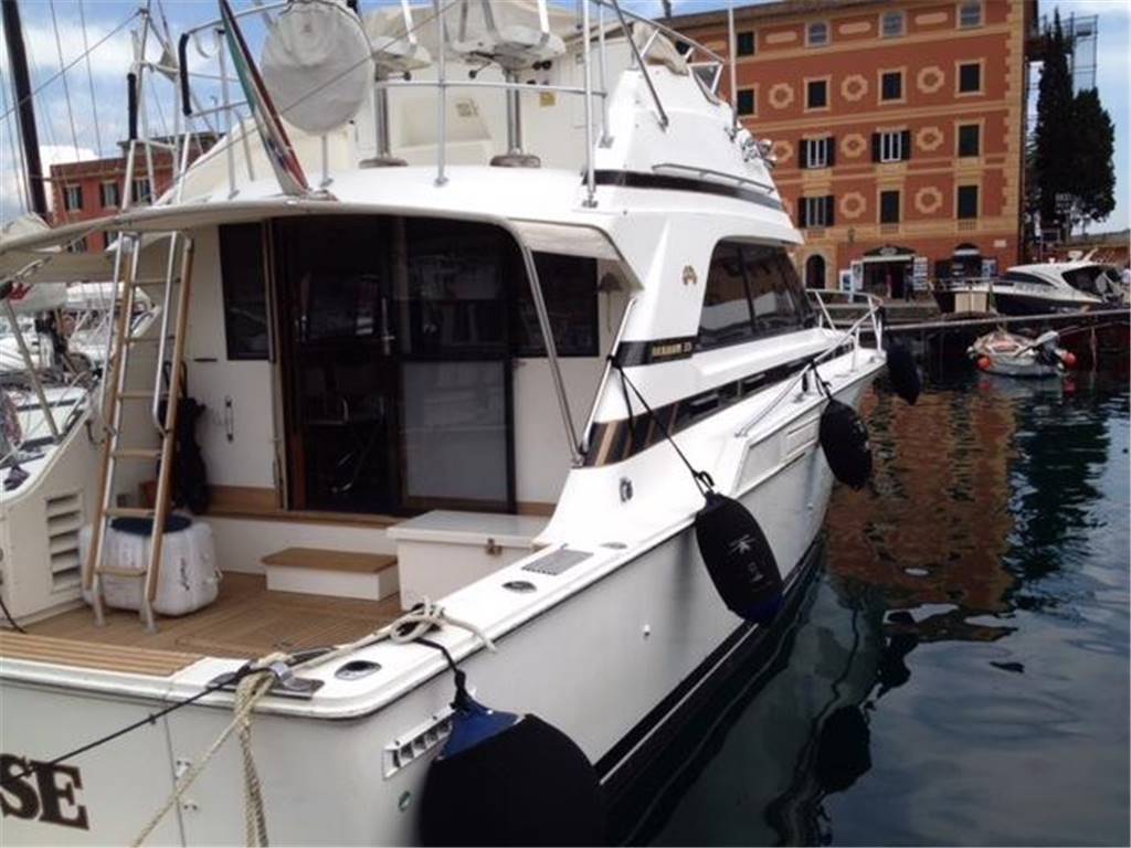 Bertram 37