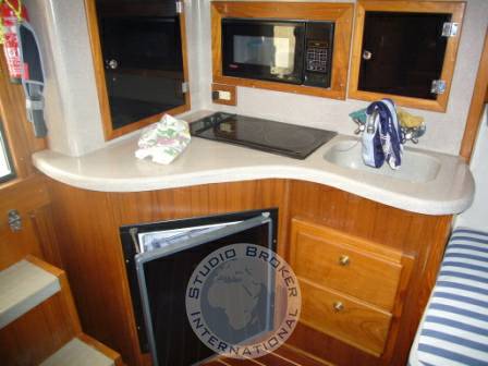 Albemarle 320 express