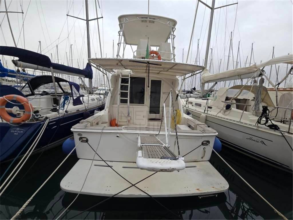 Bertram yachts Bertram 390 convertible