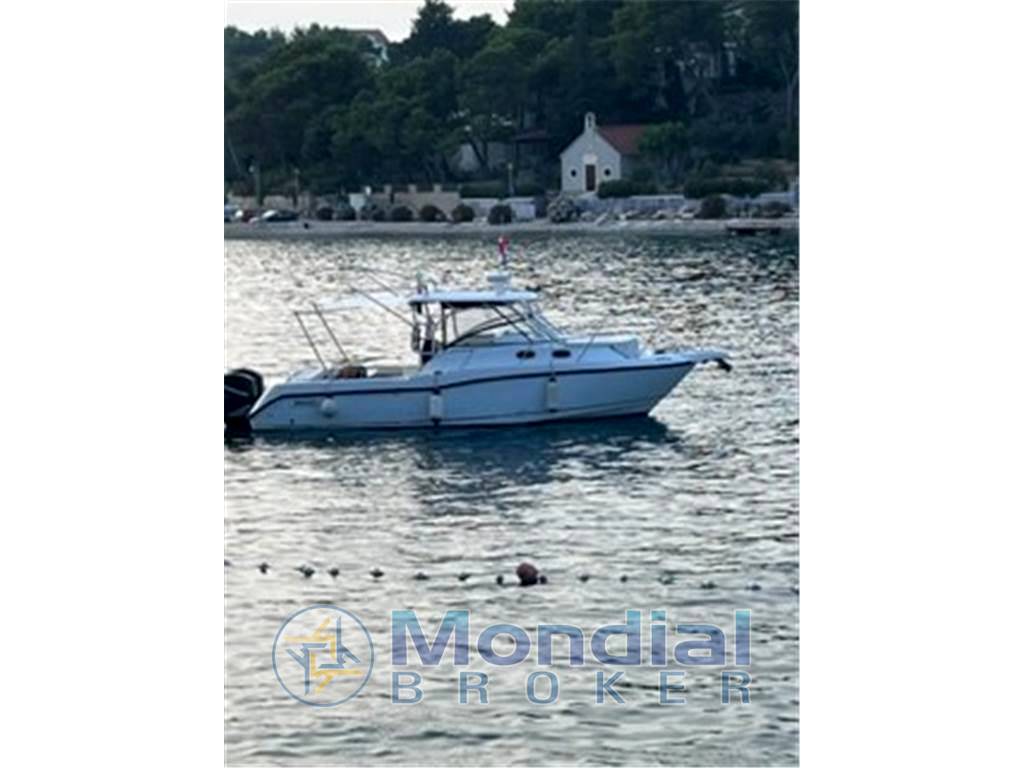 Boston whaler Boston 305 conquest