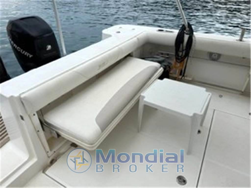 Boston whaler Boston 305 conquest