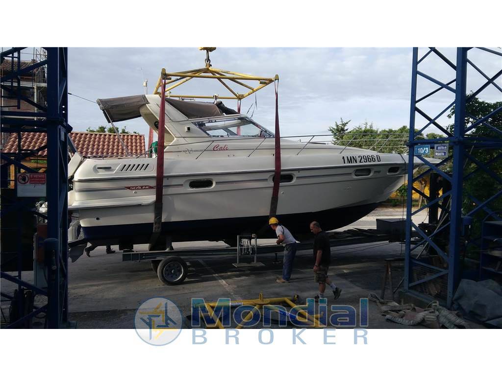 Sealine 365