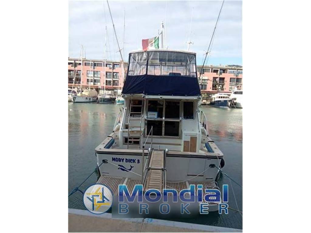 Angel marine 52