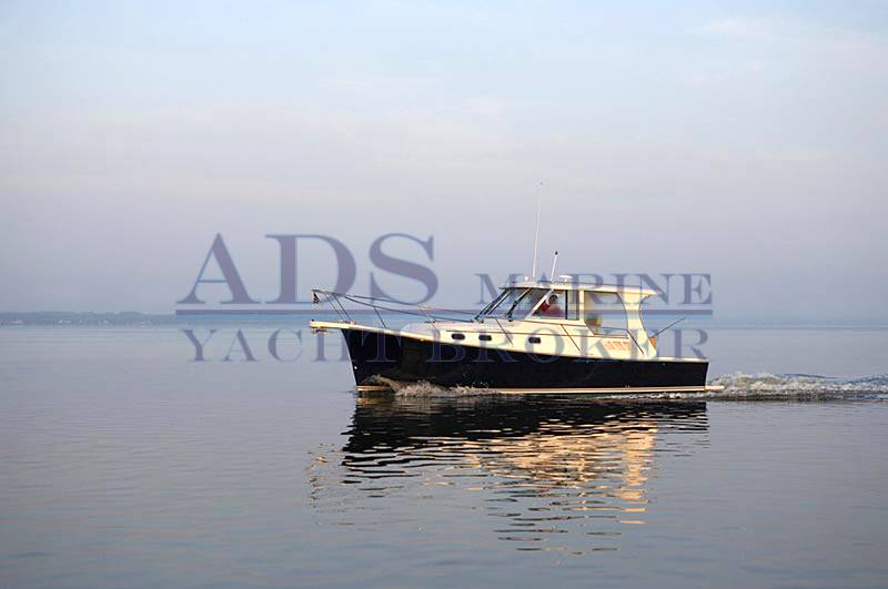 Mainship 31 pilot