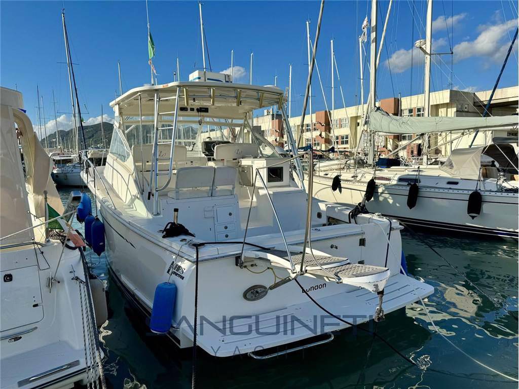 Luhrs 37 open