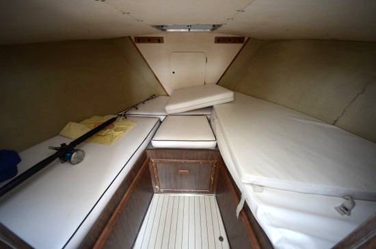 Bertram 31