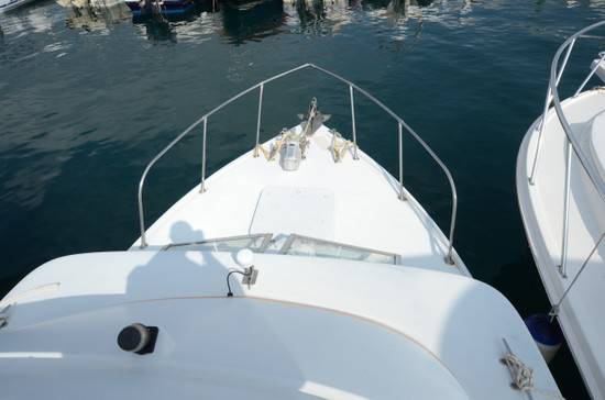 Bertram 31