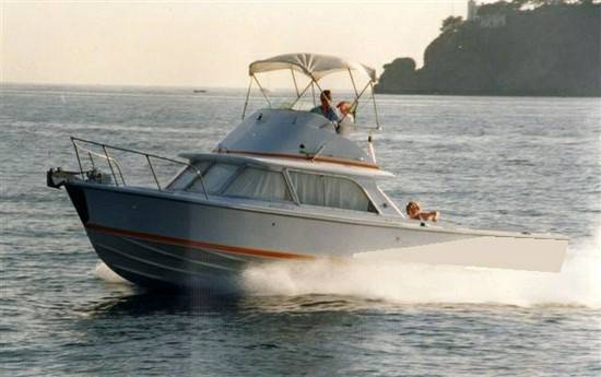 Bertram 31