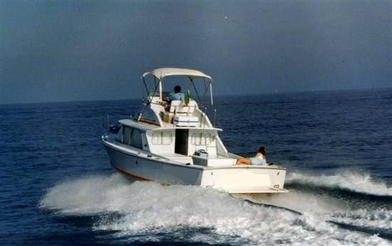 Bertram 31