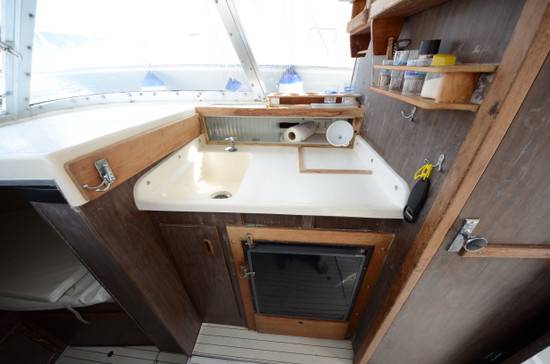 Bertram 31