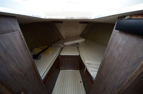 Bertram 31