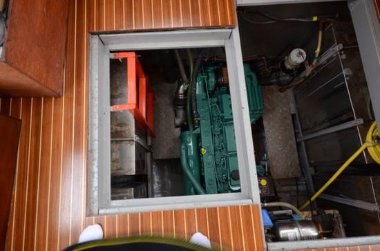 Automarine Tortuga 38