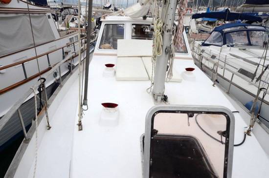 Automarine Tortuga 38