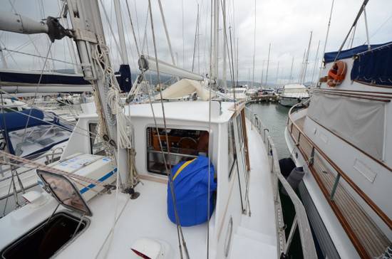 Automarine Tortuga 38
