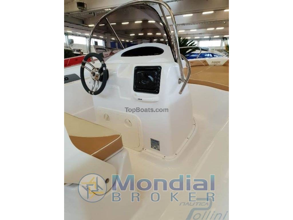 Ranieri Shark 19 (new - pronta consegna)+suzuki