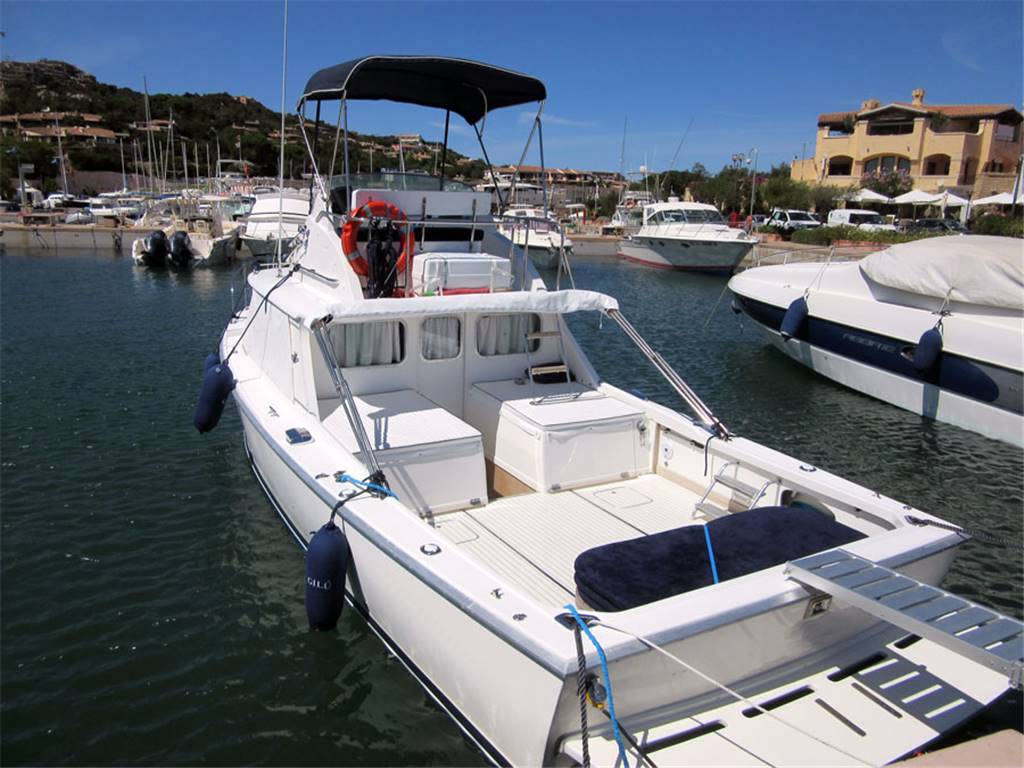 Bertram 31