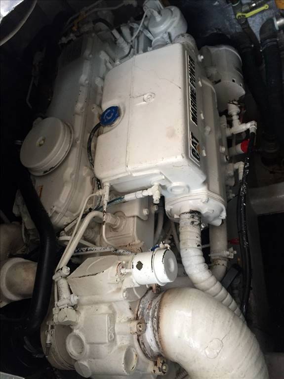 Cayman 43 wa