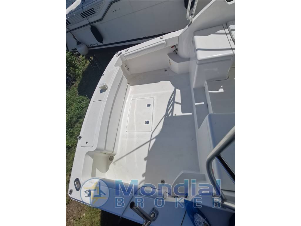 Luhrs 28 open