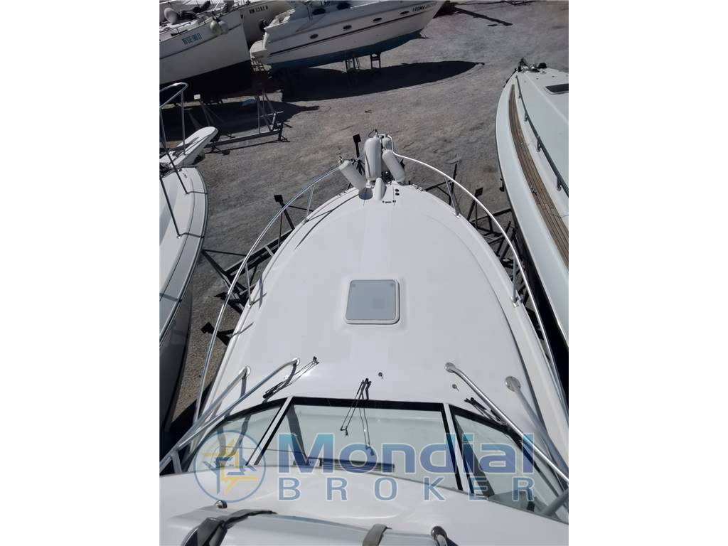 Luhrs 28 open