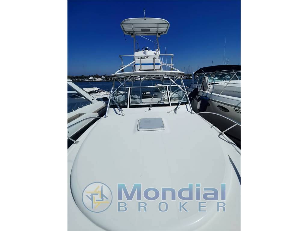 Luhrs 28 open