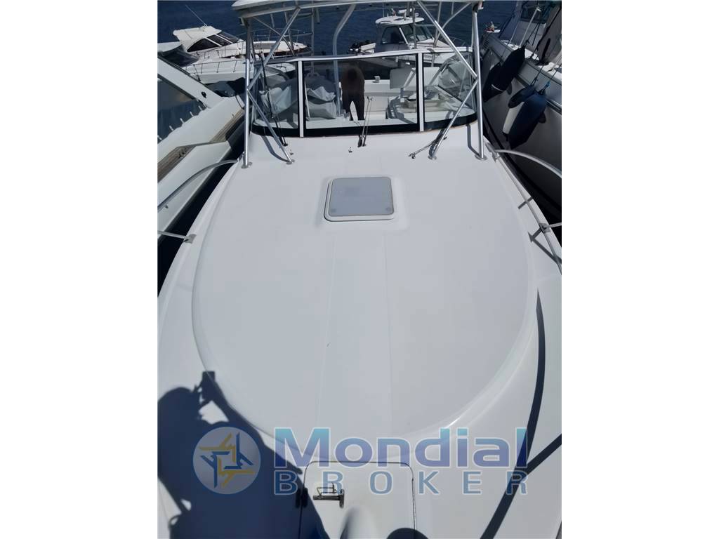 Luhrs 28 open