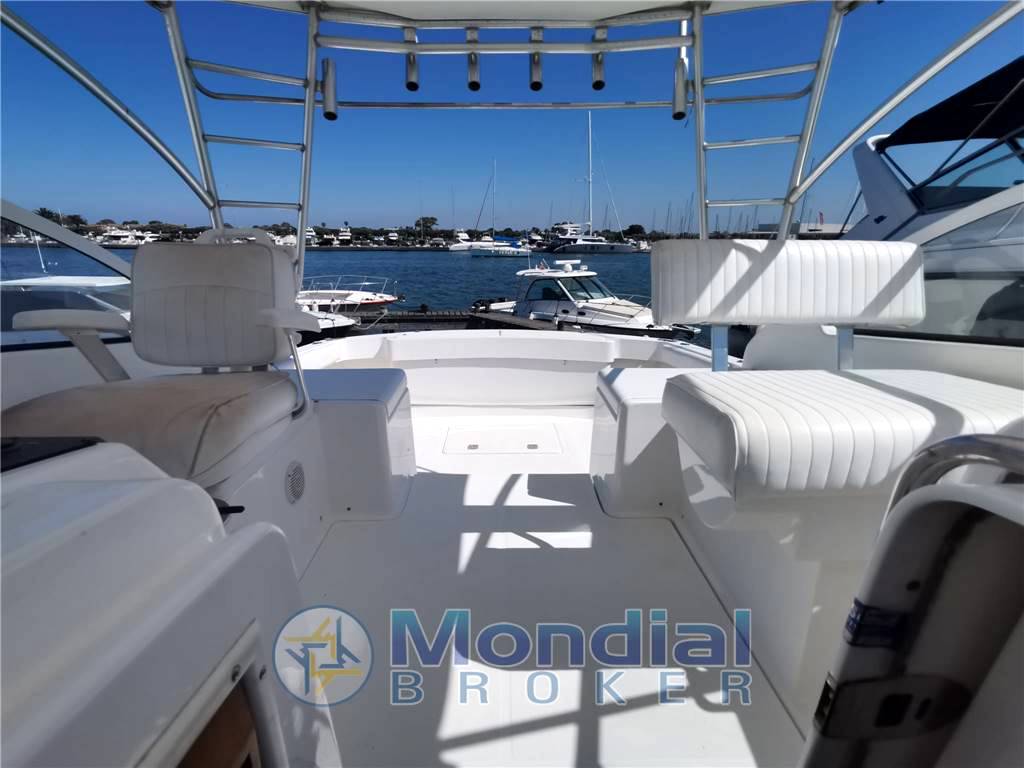 Luhrs 28 open