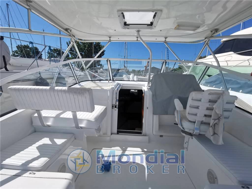 Luhrs 28 open