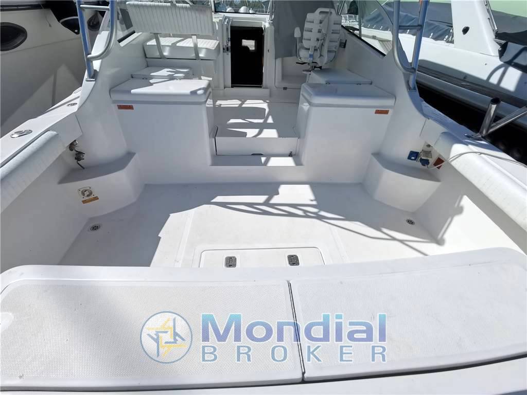 Luhrs 28 open