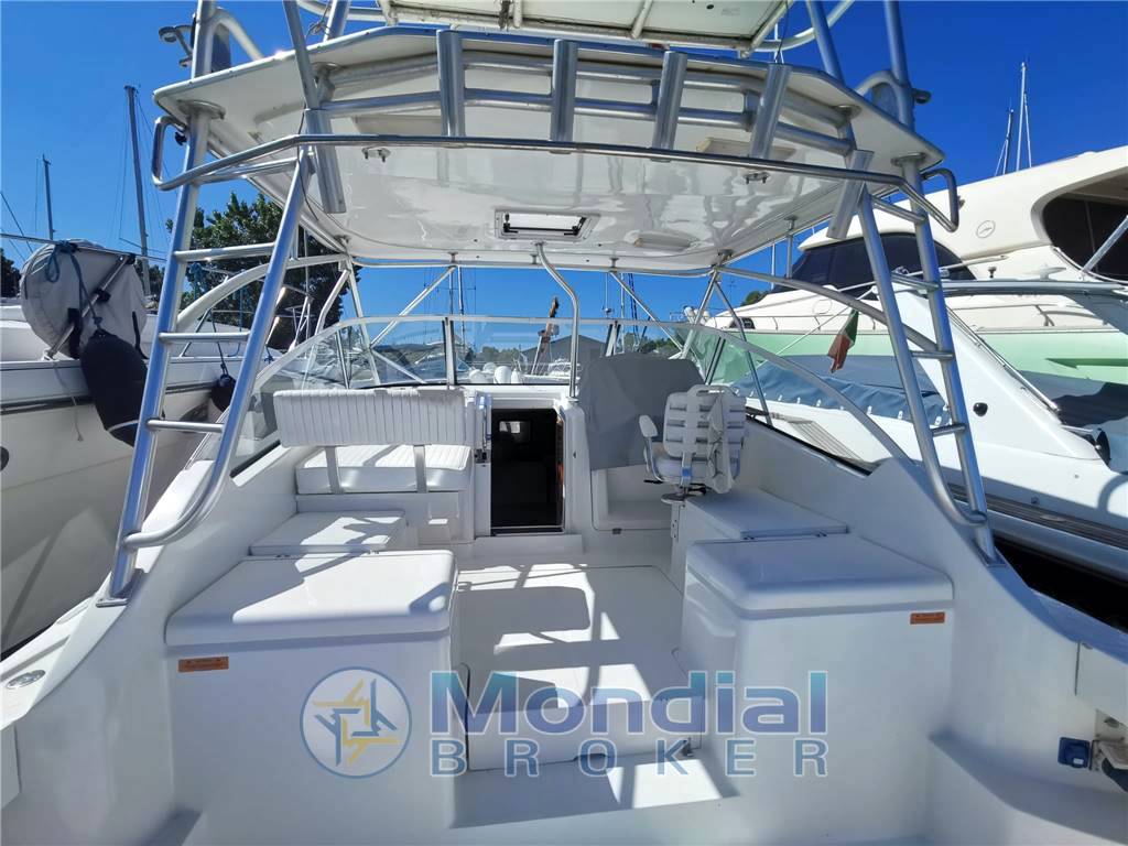 Luhrs 28 open